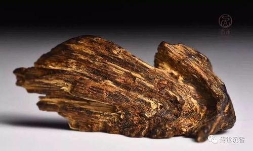 沉香 在线观看,探寻神秘香木的传奇故事 第1张 沉香 在线观看,探寻神秘香木的传奇故事 第1张